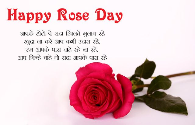 Best Rose Day Greetings