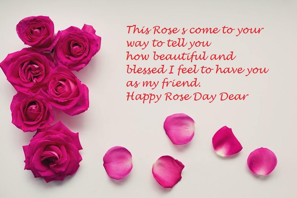 Best Rose Day Wishes 2021