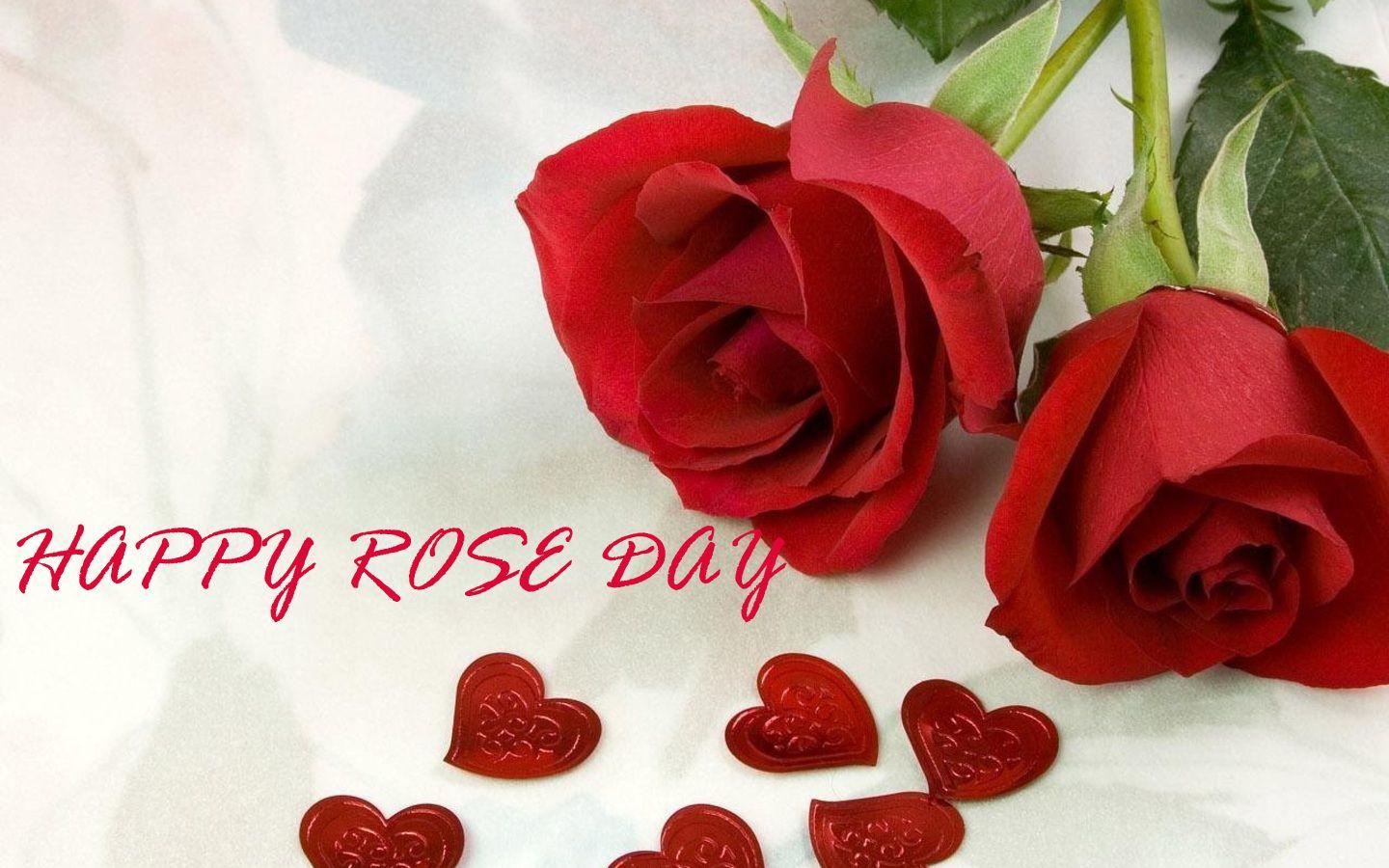 Rose Day Wallpapers 2021